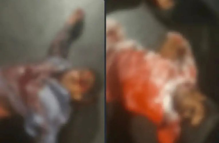 درگیری مسلحانه در خیابان دانشگاه زاهدان: هلاکت و دستگیری تروریست‌ها